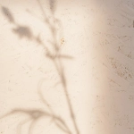 Релаксирующие игры и натуральный уход за кожей