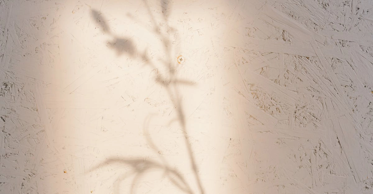 Релаксирующие игры и натуральный уход за кожей