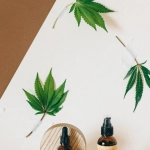 Натуральные масла для олимпийского ухода за кожей в домашних условиях